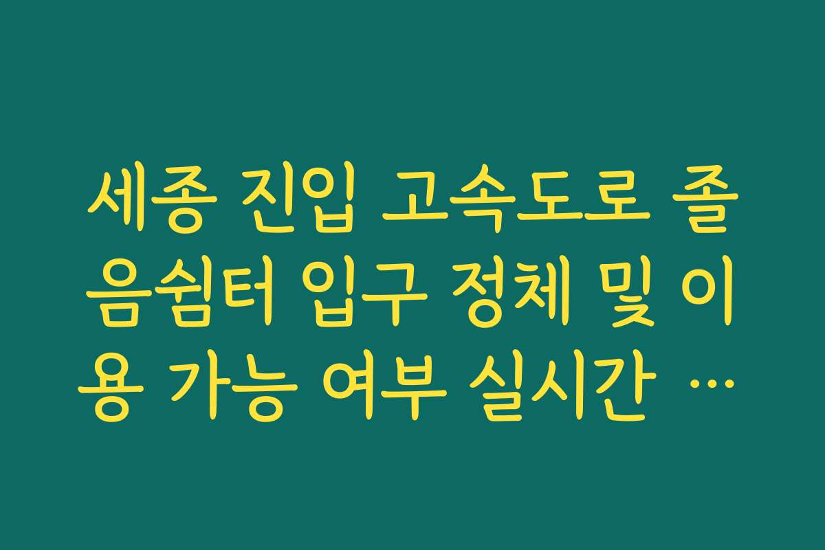 세종 진입 고속도로 졸음쉼터 입구 정체 및 이용 가능 여부 실시간 확인