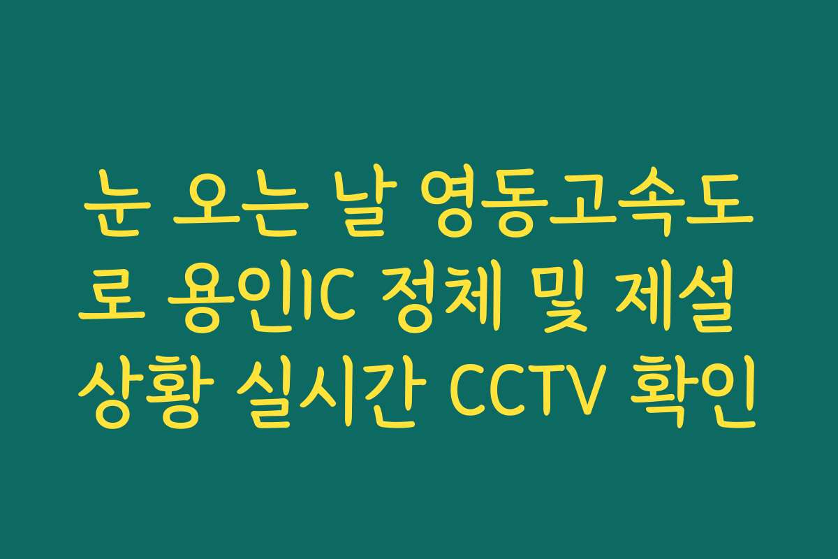 눈 오는 날 영동고속도로 용인IC 정체 및 제설 상황 실시간 CCTV 확인