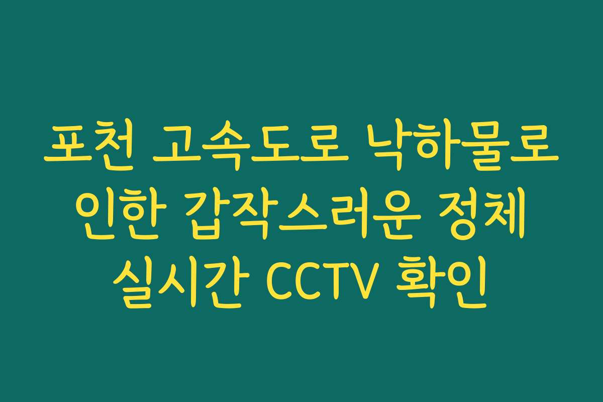 포천 고속도로 낙하물로 인한 갑작스러운 정체 실시간 CCTV 확인