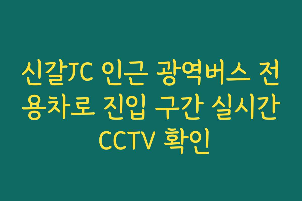신갈JC 인근 광역버스 전용차로 진입 구간 실시간 CCTV 확인