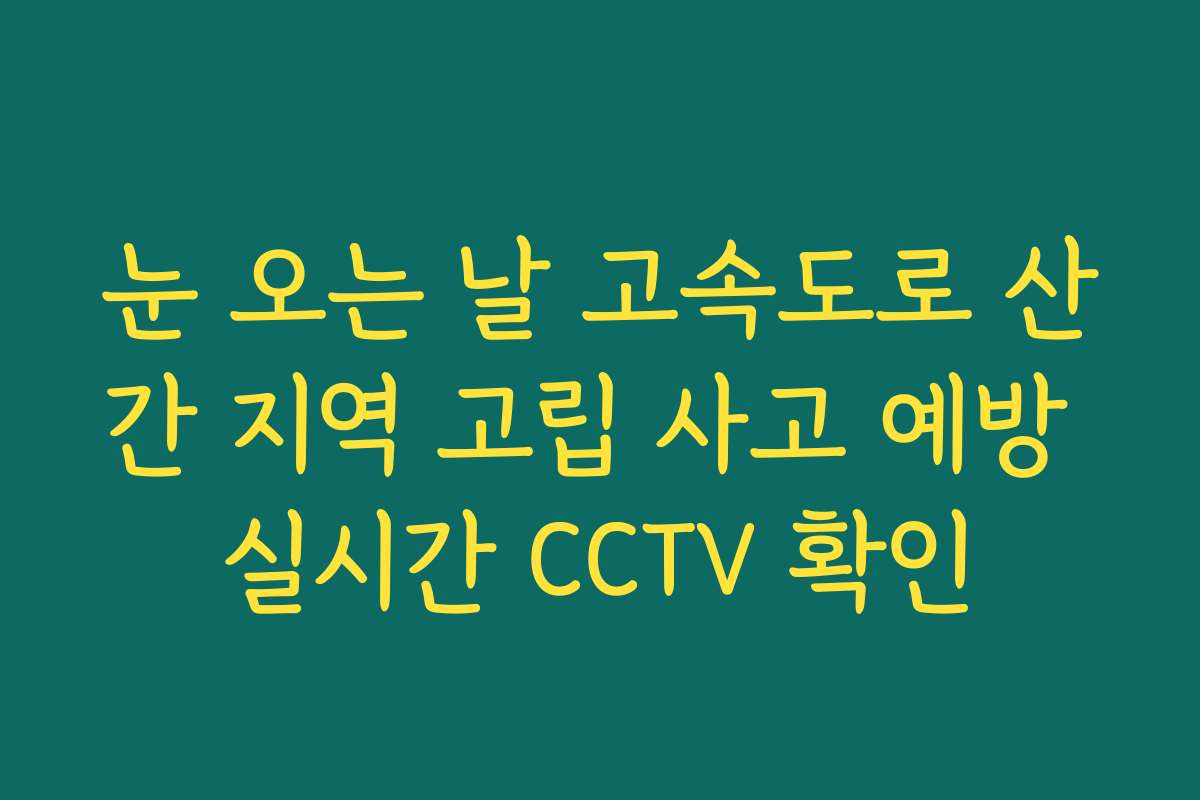 눈 오는 날 고속도로 산간 지역 고립 사고 예방 실시간 CCTV 확인