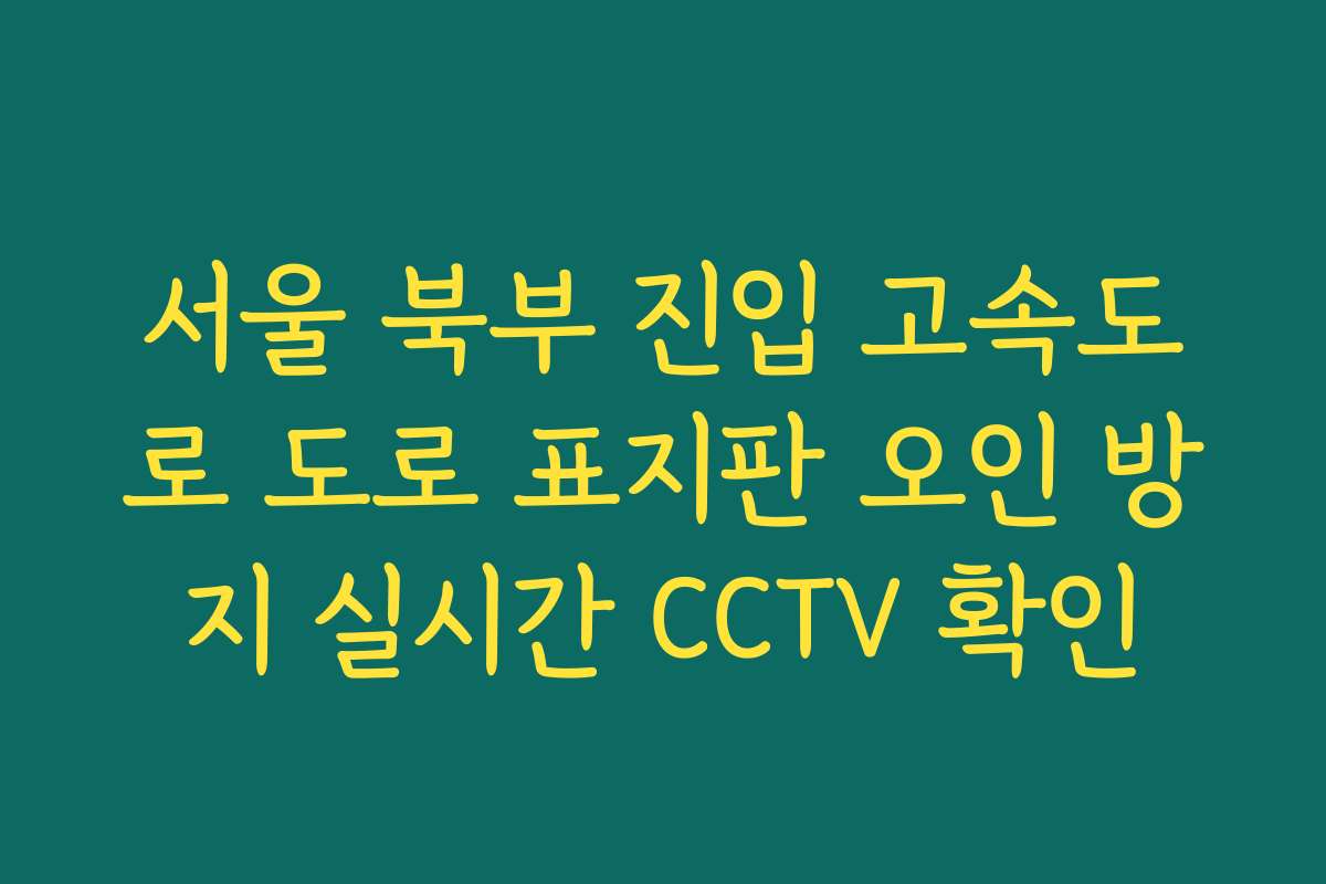 서울 북부 진입 고속도로 도로 표지판 오인 방지 실시간 CCTV 확인