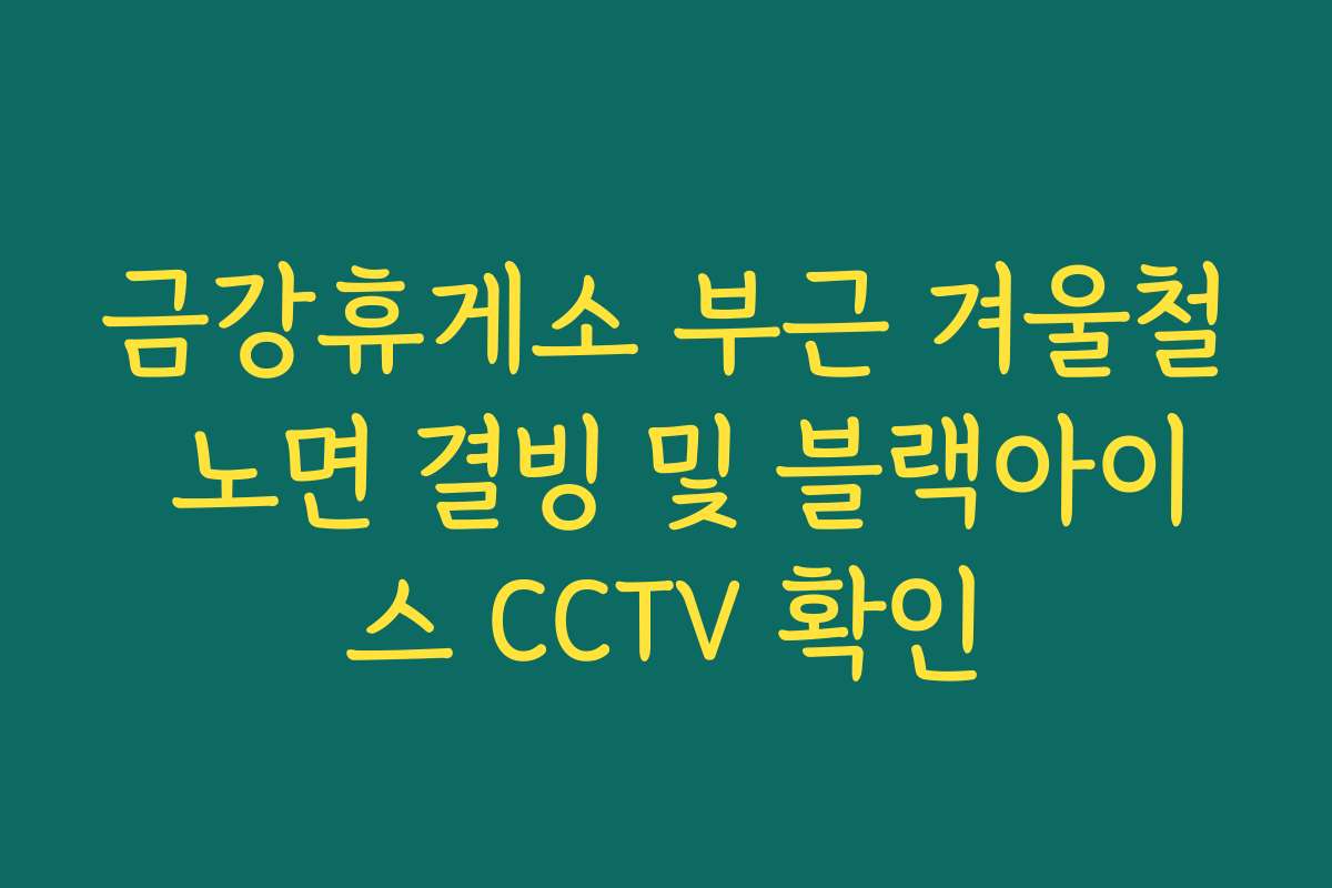 금강휴게소 부근 겨울철 노면 결빙 및 블랙아이스 CCTV 확인