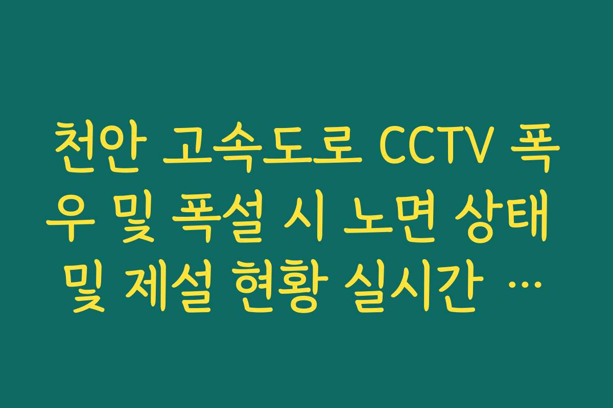 천안 고속도로 CCTV 폭우 및 폭설 시 노면 상태 및 제설 현황 실시간 체크