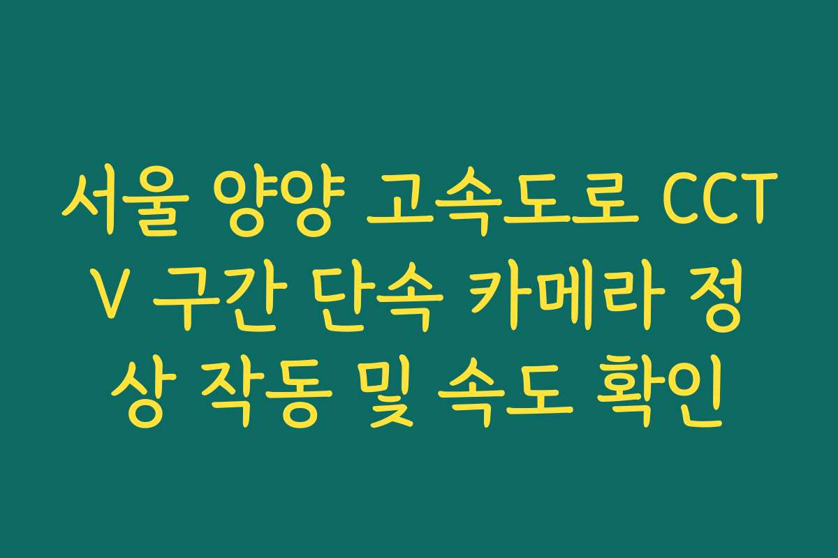서울 양양 고속도로 CCTV 구간 단속 카메라 정상 작동 및 속도 확인