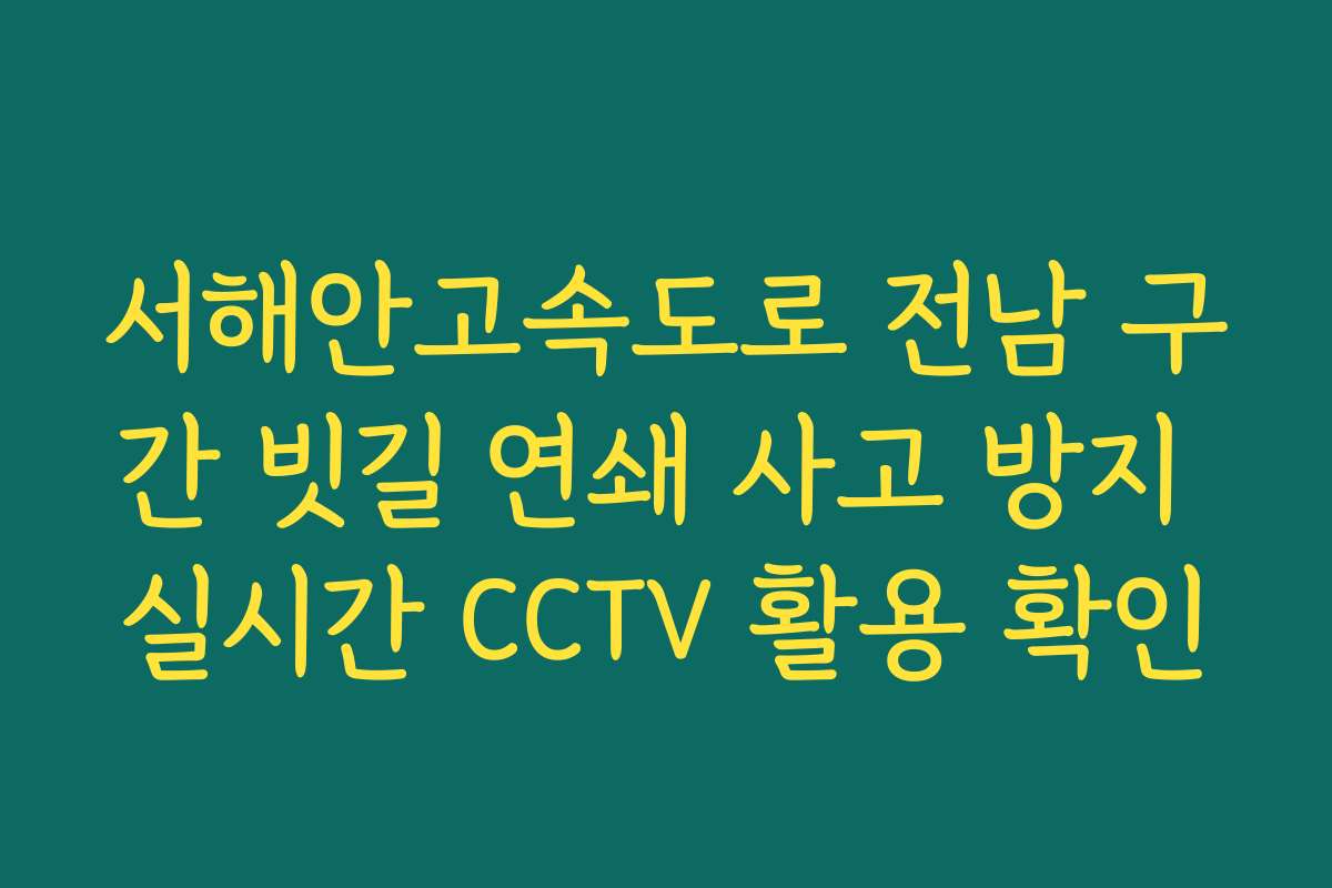서해안고속도로 전남 구간 빗길 연쇄 사고 방지 실시간 CCTV 활용 확인