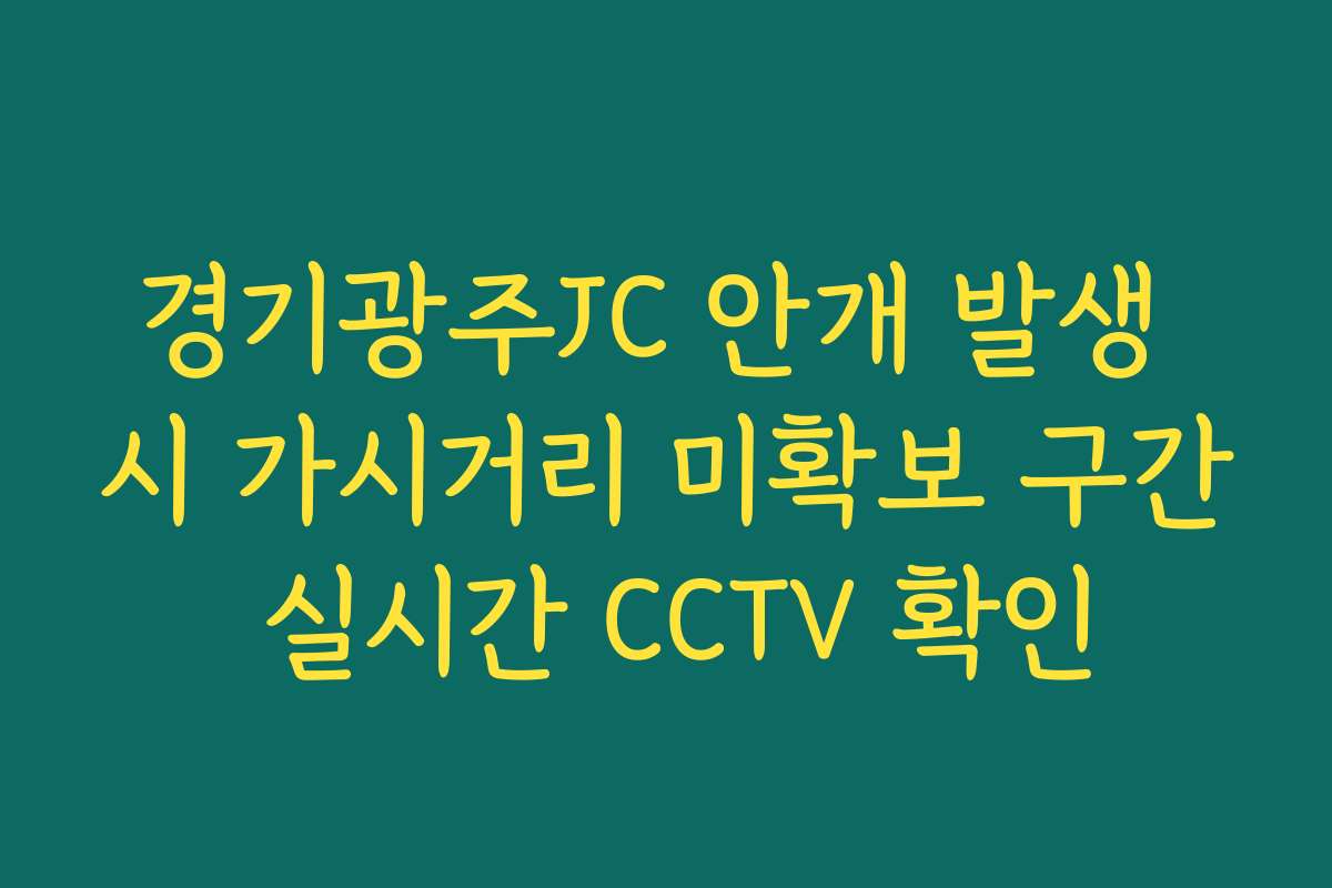 경기광주JC 안개 발생 시 가시거리 미확보 구간 실시간 CCTV 확인