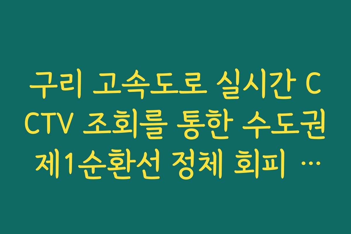 구리 고속도로 실시간 CCTV 조회를 통한 수도권 제1순환선 정체 회피 방법
