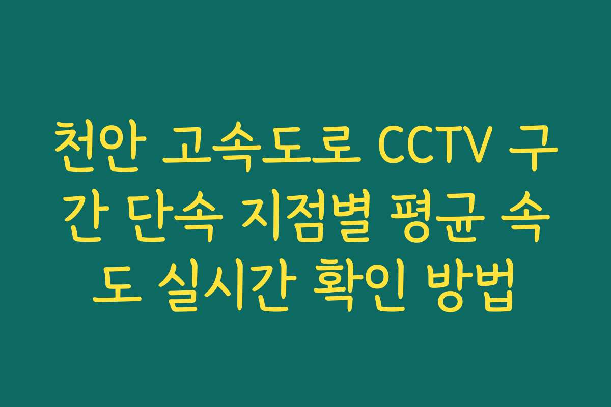 천안 고속도로 CCTV 구간 단속 지점별 평균 속도 실시간 확인 방법