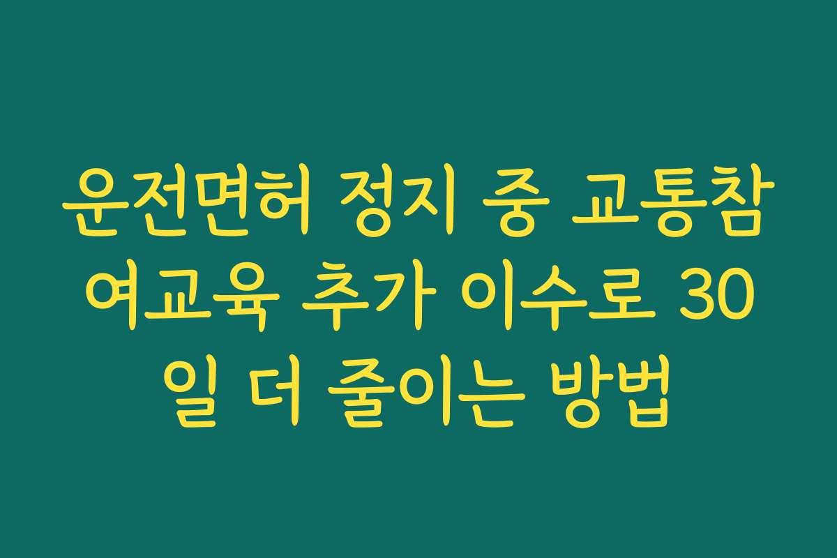 운전면허 정지 중 교통참여교육 추가 이수로 30일 더 줄이는 방법