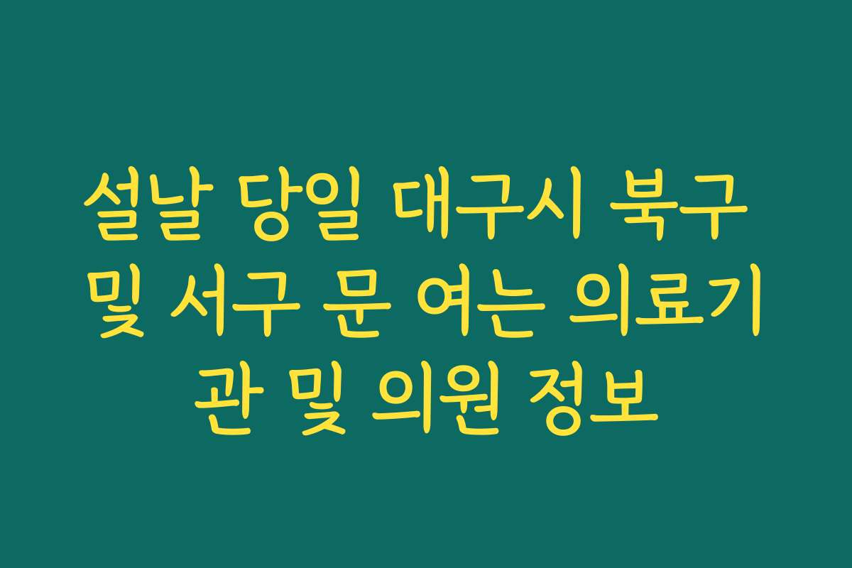 설날 당일 대구시 북구 및 서구 문 여는 의료기관 및 의원 정보
