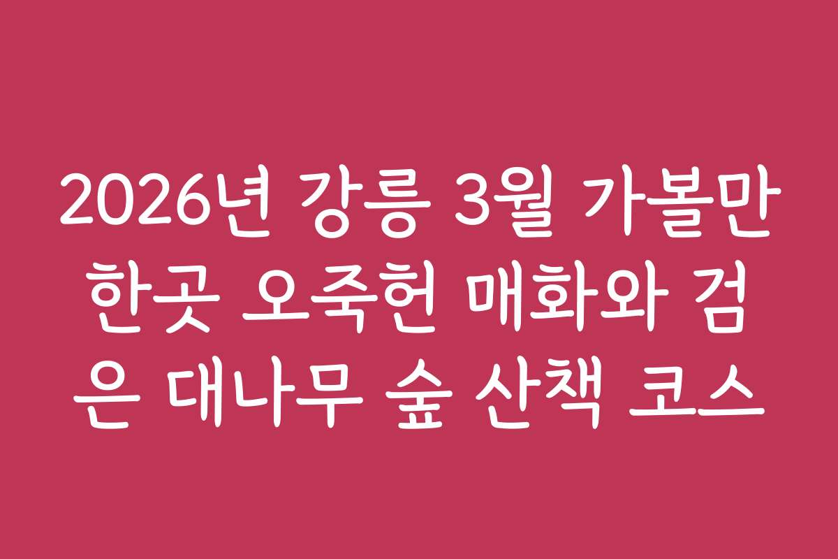 2026년 강릉 3월 가볼만한곳 오죽헌 매화와 검은 대나무 숲 산책 코스