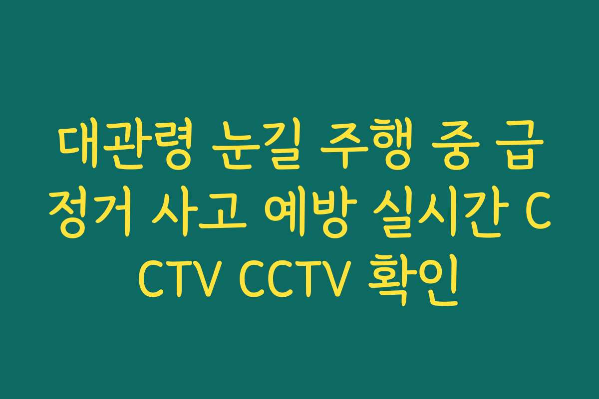대관령 눈길 주행 중 급정거 사고 예방 실시간 CCTV CCTV 확인