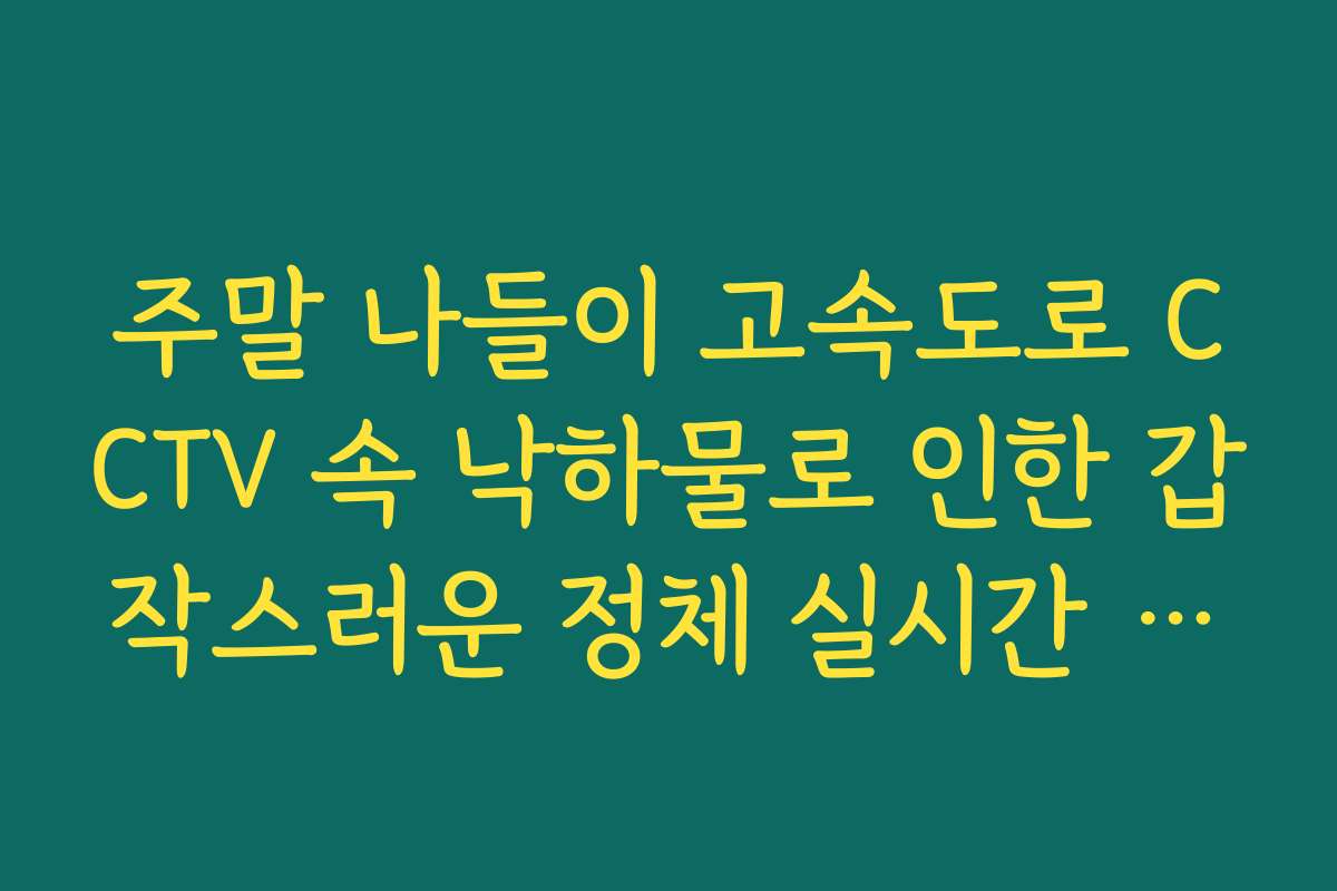 주말 나들이 고속도로 CCTV 속 낙하물로 인한 갑작스러운 정체 실시간 분석