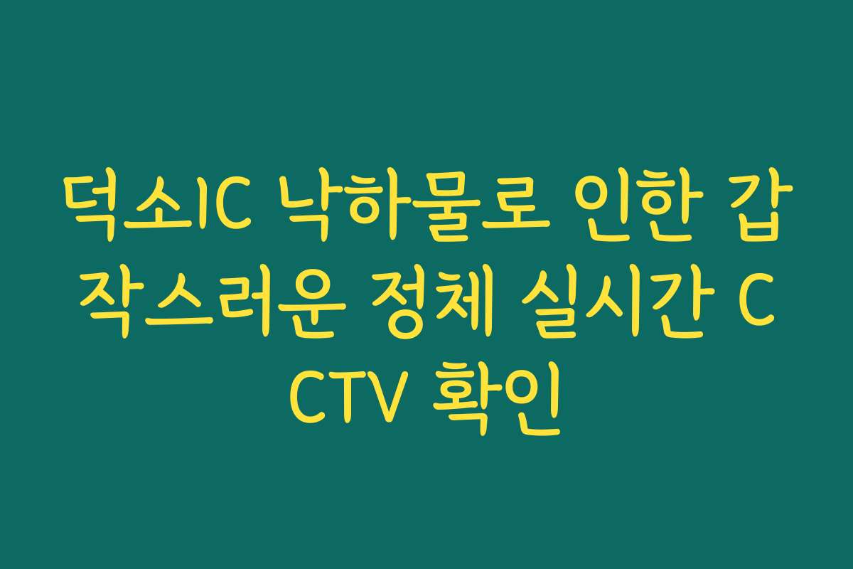 덕소IC 낙하물로 인한 갑작스러운 정체 실시간 CCTV 확인