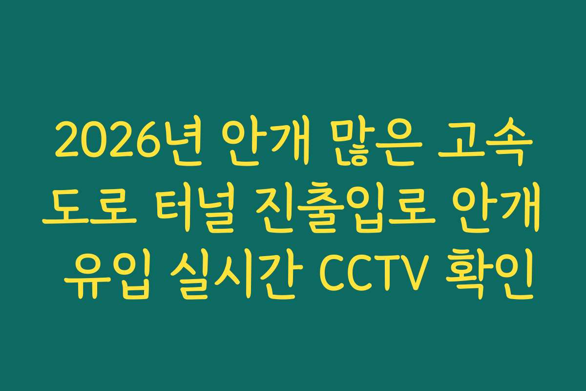 2026년 안개 많은 고속도로 터널 진출입로 안개 유입 실시간 CCTV 확인