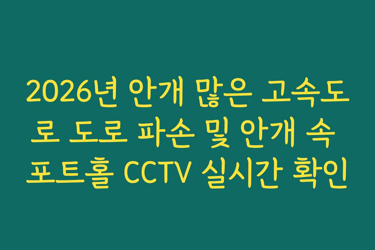2026년 안개 많은 고속도로 도로 파손 및 안개 속 포트홀 CCTV 실시간 확인