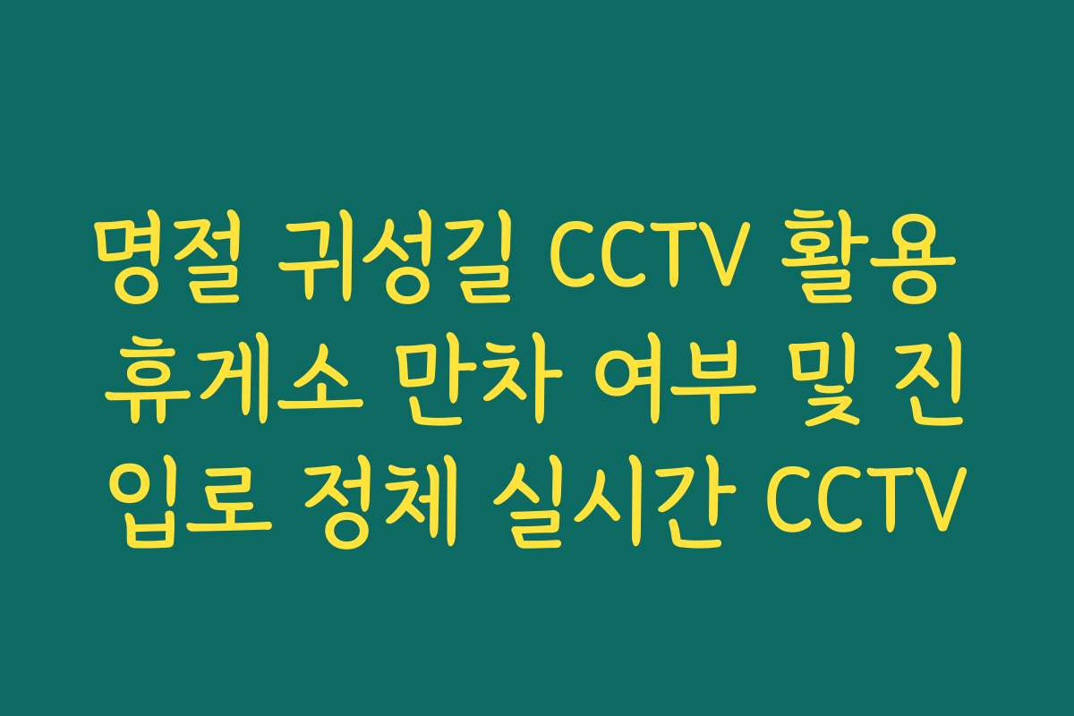 명절 귀성길 CCTV 활용 휴게소 만차 여부 및 진입로 정체 실시간 CCTV