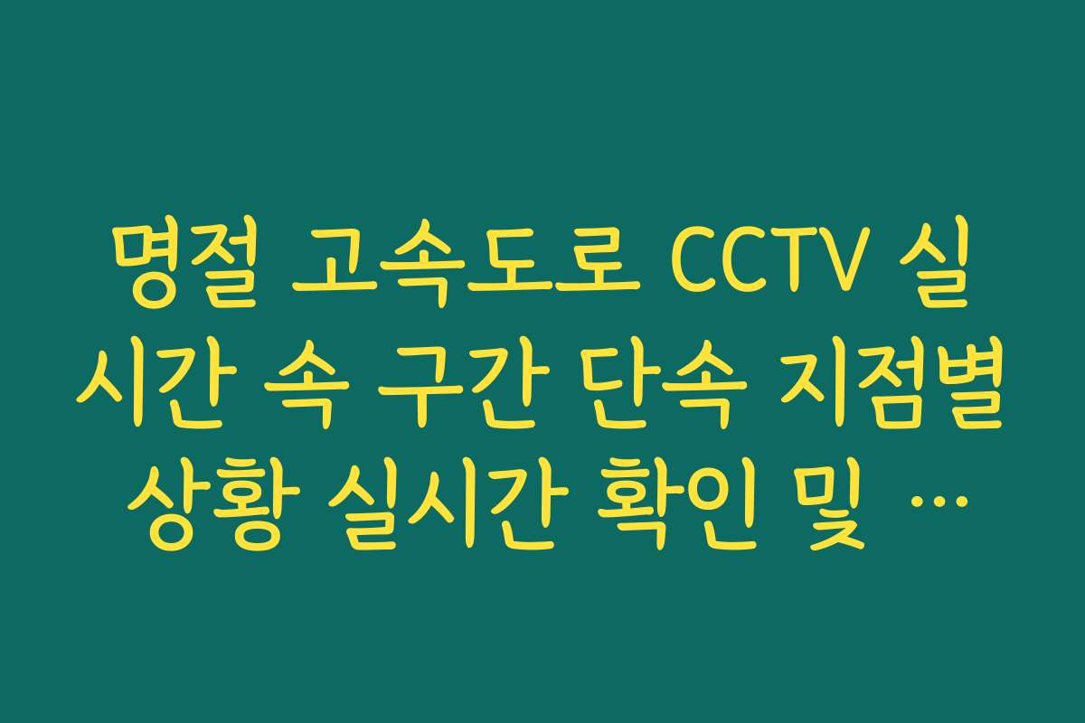 명절 고속도로 CCTV 실시간 속 구간 단속 지점별 상황 실시간 확인 및 분석법