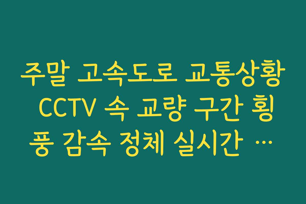 주말 고속도로 교통상황 CCTV 속 교량 구간 횡풍 감속 정체 실시간 확인