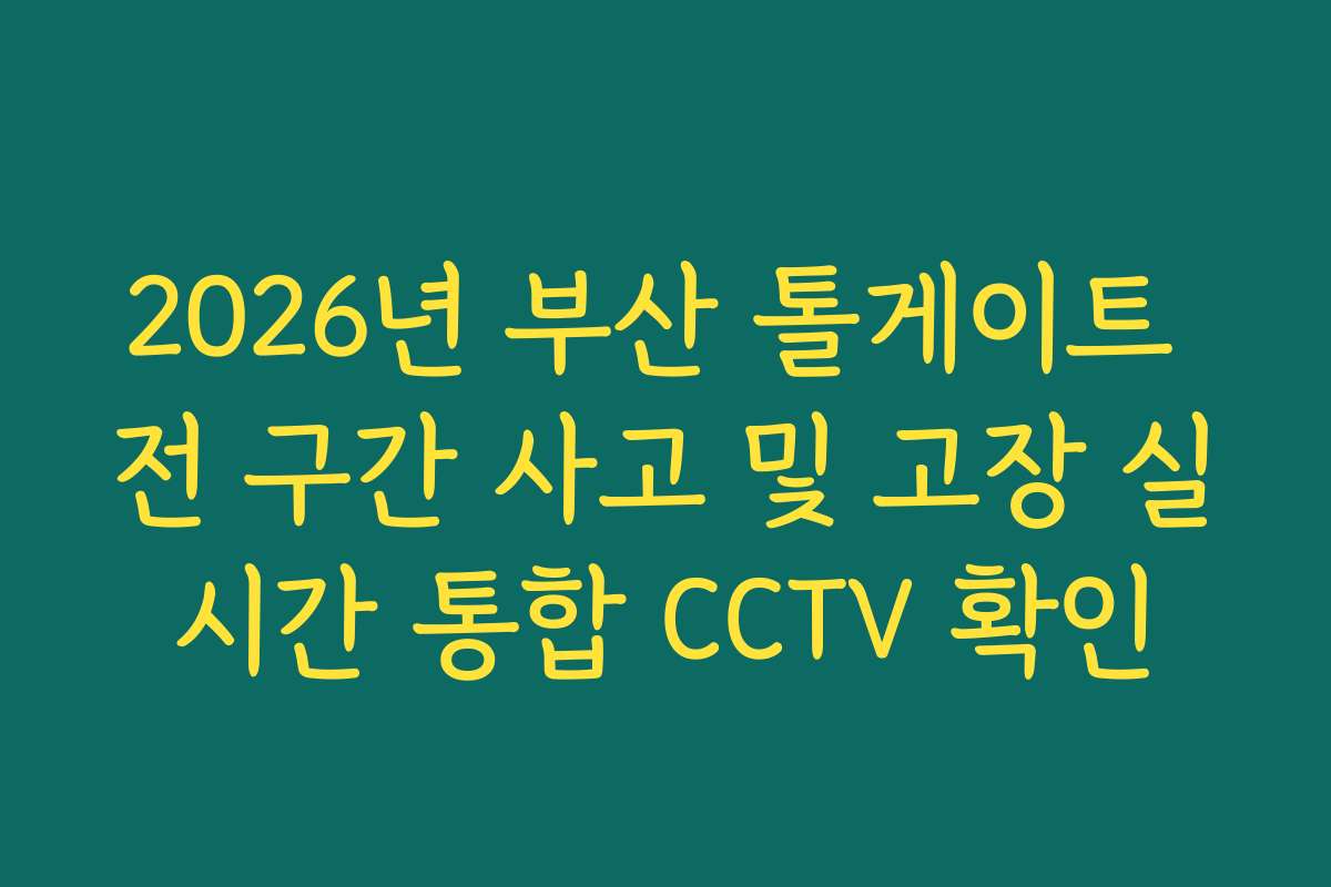 2026년 부산 톨게이트 전 구간 사고 및 고장 실시간 통합 CCTV 확인