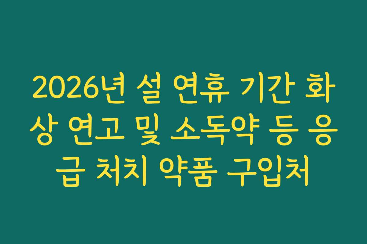 2026년 설 연휴 기간 화상 연고 및 소독약 등 응급 처치 약품 구입처