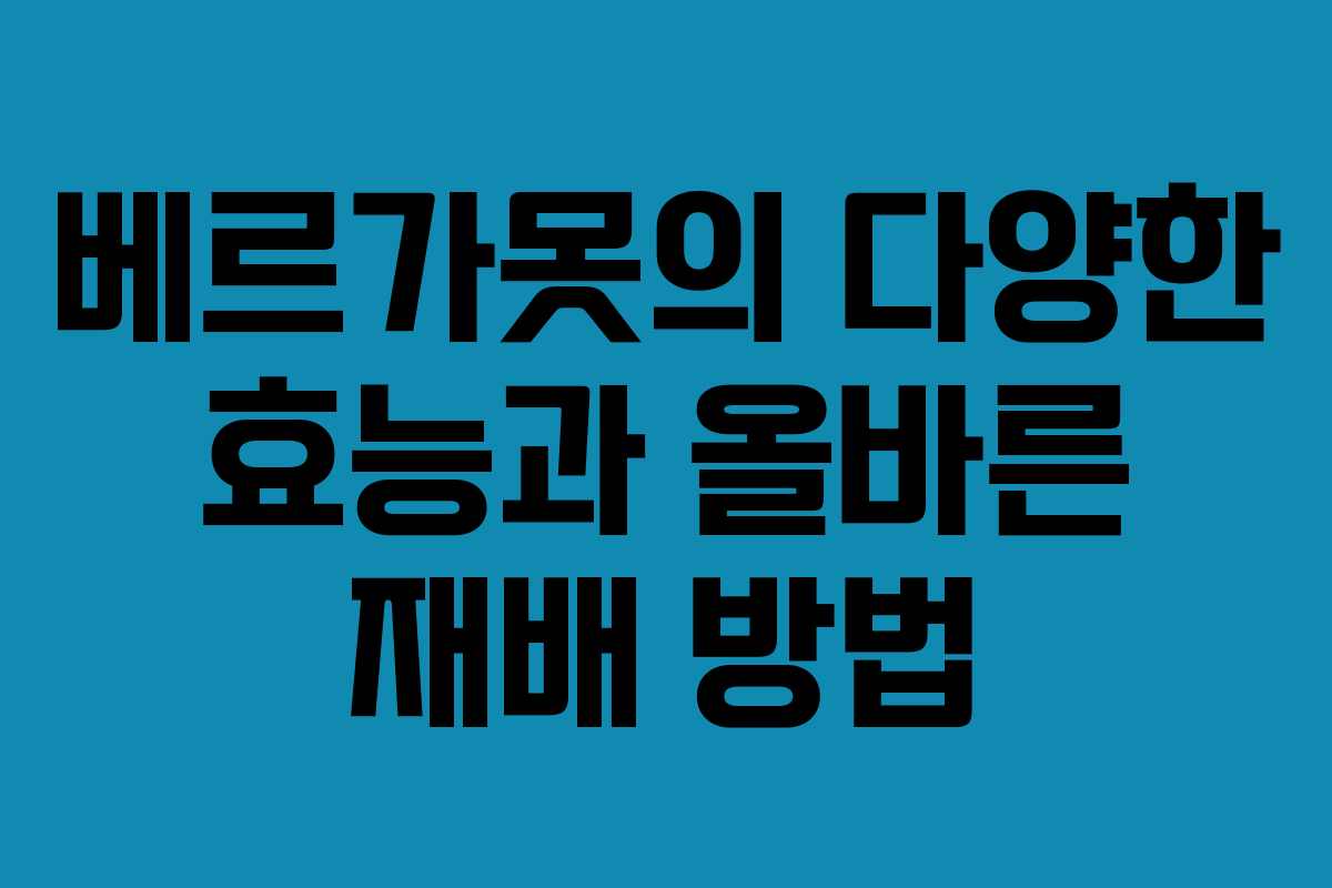 베르가못의 다양한 효능과 올바른 재배 방법
