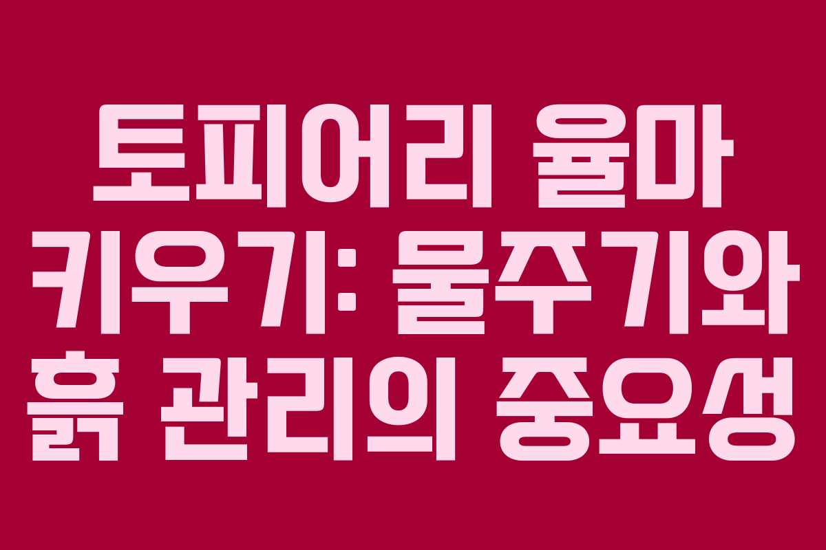 토피어리 율마 키우기: 물주기와 흙 관리의 중요성