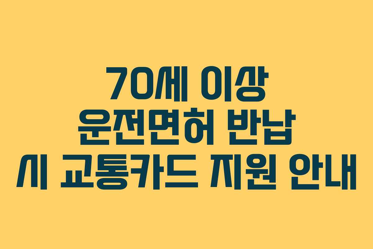 70세 이상 운전면허 반납 시 교통카드 지원 안내