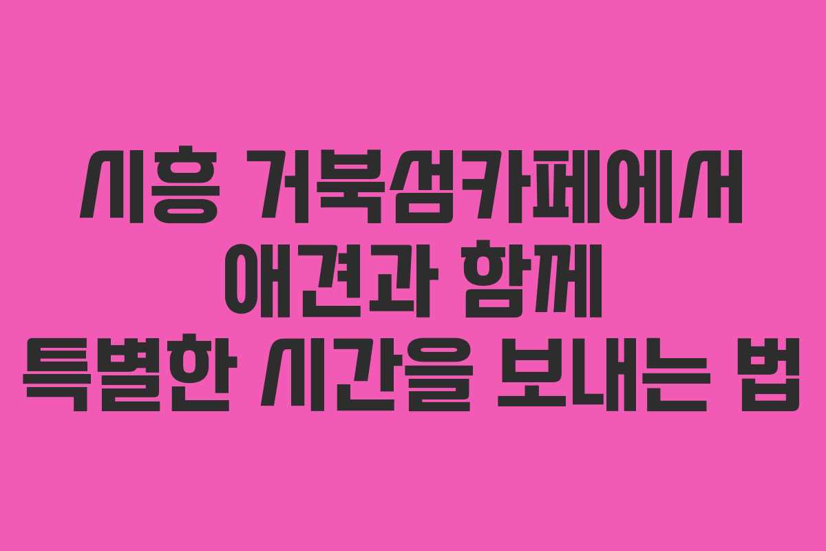 시흥 거북섬카페에서 애견과 함께 특별한 시간을 보내는 법