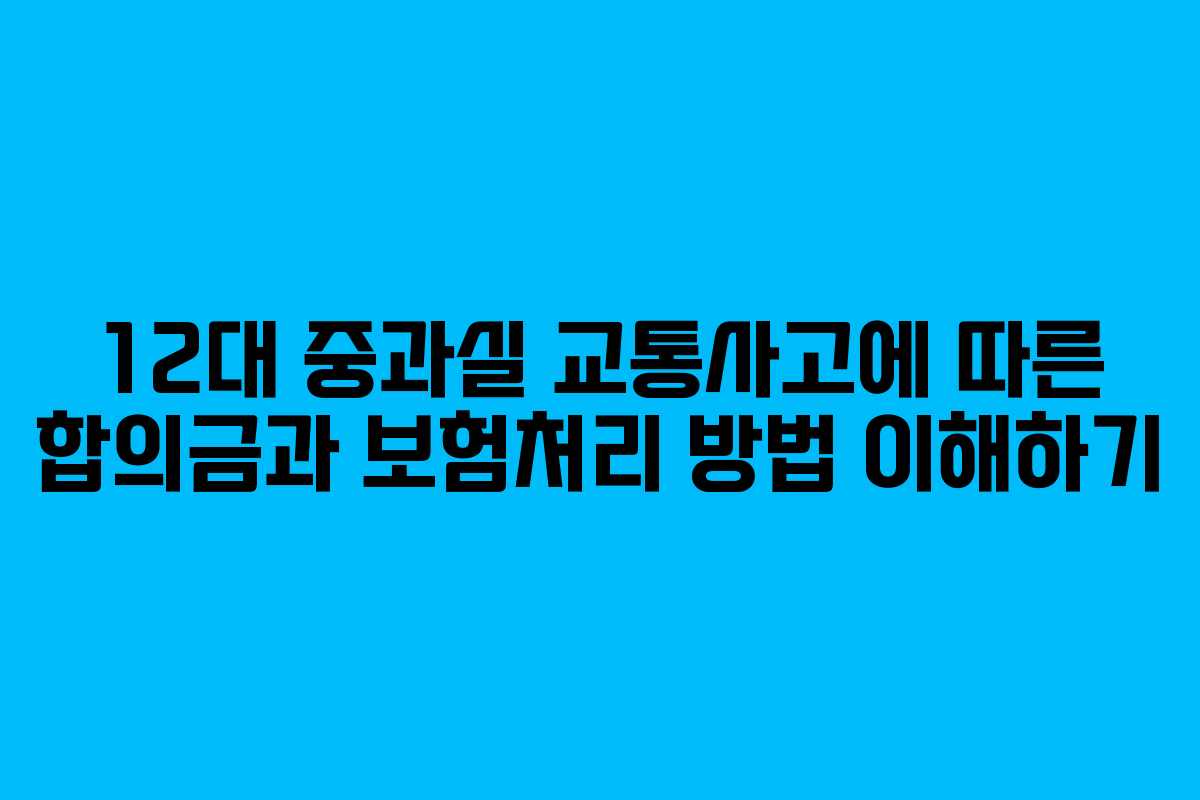 12대 중과실 교통사고에 따른 합의금과 보험처리 방법 이해하기