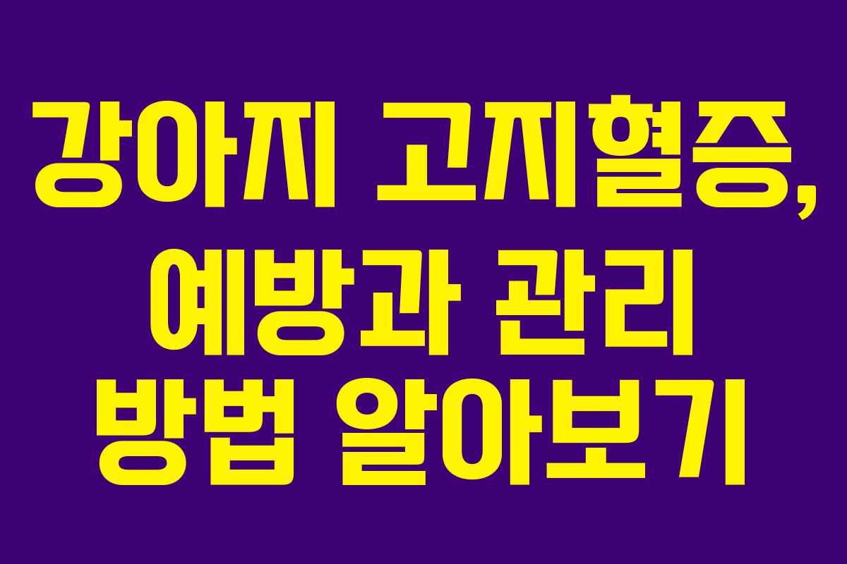 강아지 고지혈증, 예방과 관리 방법 알아보기