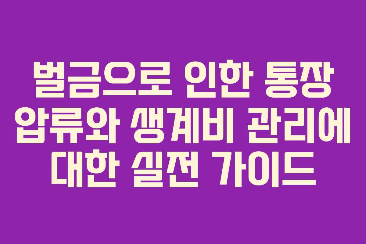 벌금으로 인한 통장 압류와 생계비 관리에 대한 실전 가이드