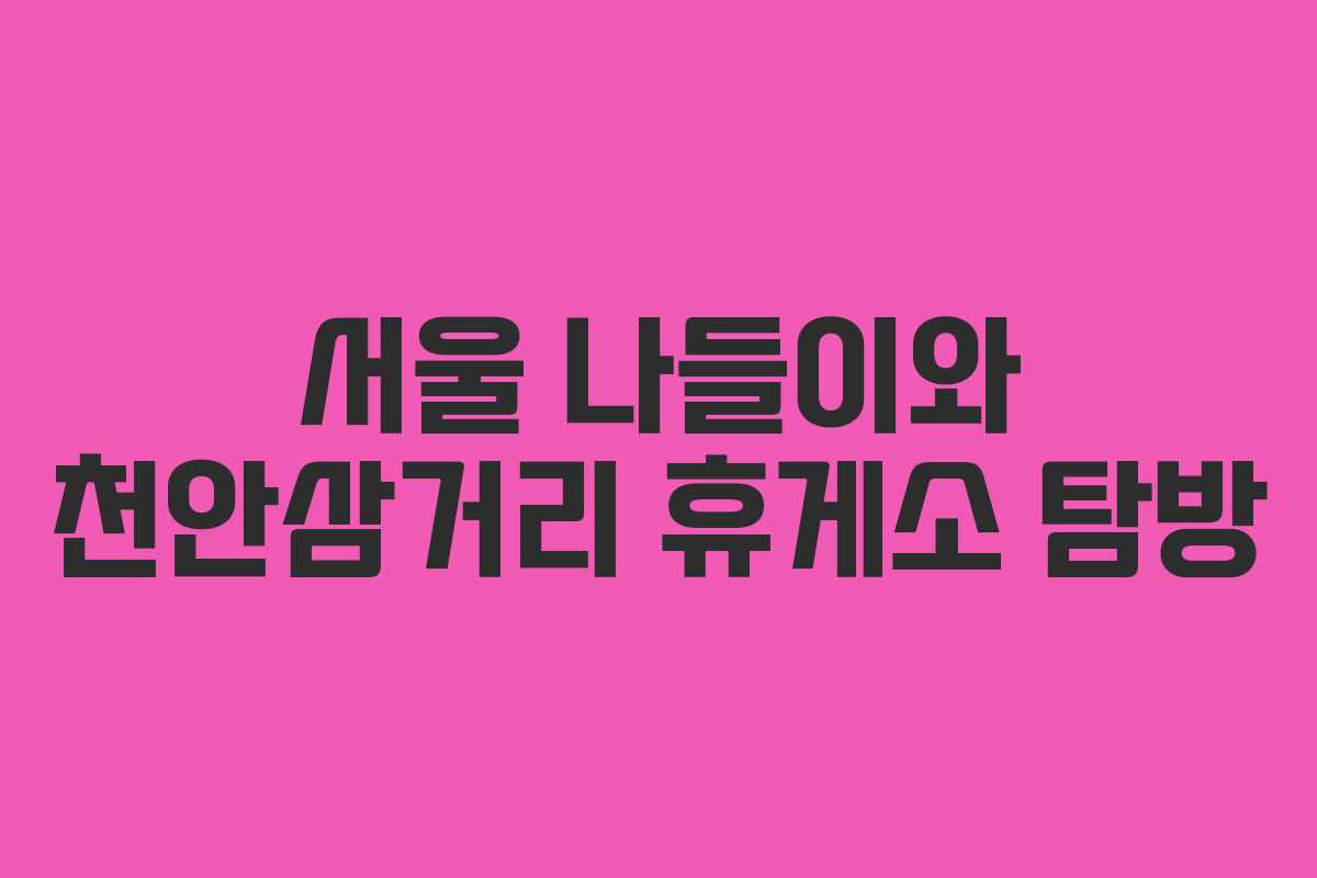 서울 나들이와 천안삼거리 휴게소 탐방