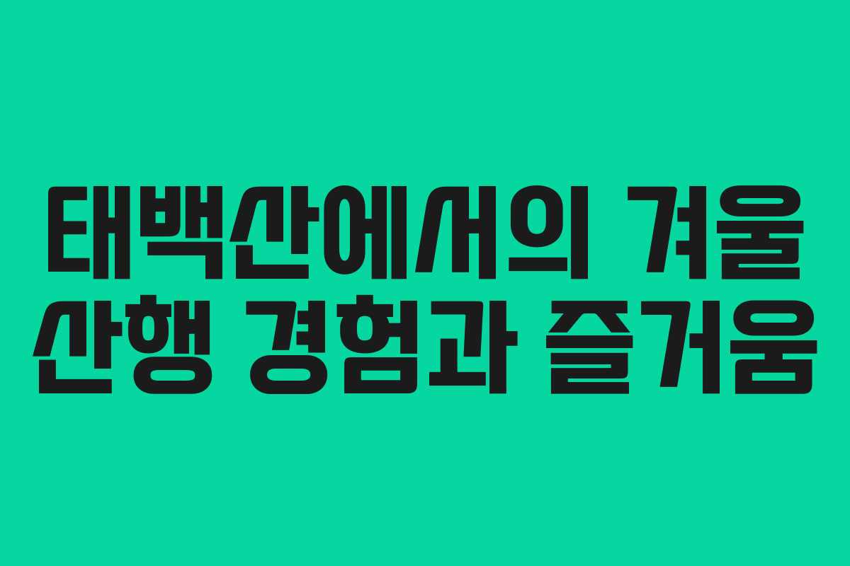 태백산에서의 겨울 산행 경험과 즐거움