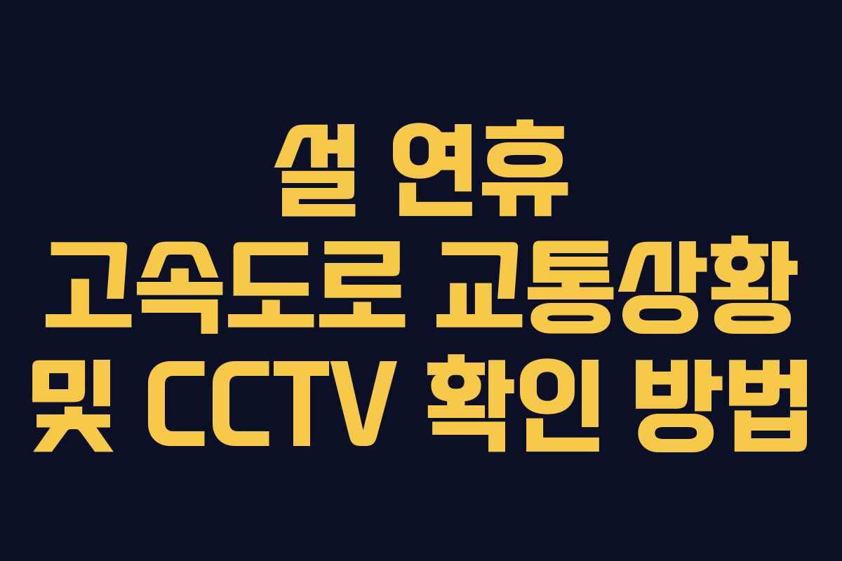 설 연휴 고속도로 교통상황 및 CCTV 확인 방법