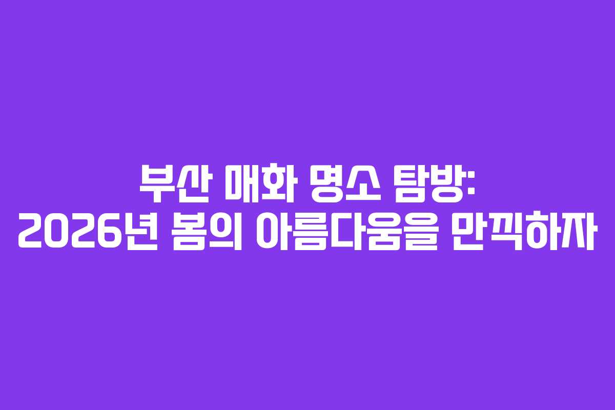 부산 매화 명소 탐방: 2026년 봄의 아름다움을 만끽하자