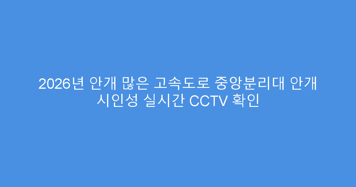 2026년 안개 많은 고속도로 중앙분리대 안개 시인성 실시간 CCTV 확인