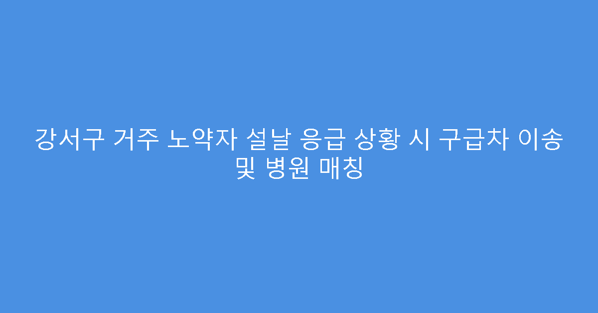 강서구 거주 노약자 설날 응급 상황 시 구급차 이송 및 병원 매칭