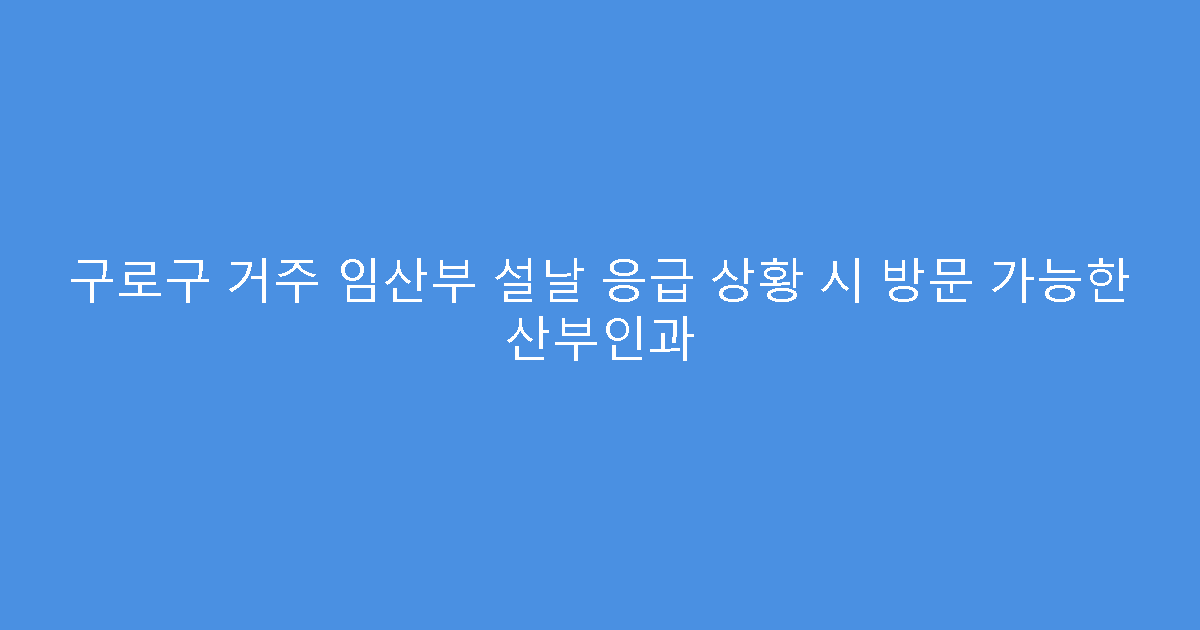 구로구 거주 임산부 설날 응급 상황 시 방문 가능한 산부인과