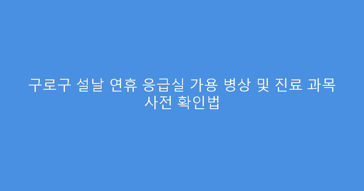 구로구 설날 연휴 응급실 가용 병상 및 진료 과목 사전 확인법