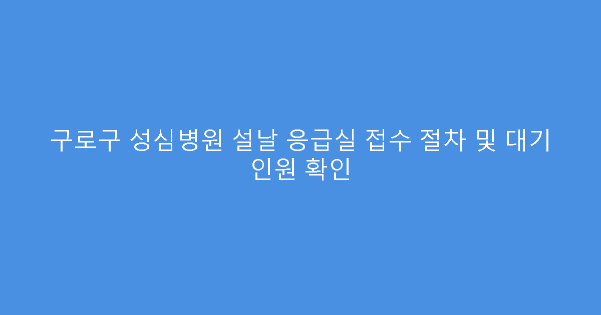 구로구 성심병원 설날 응급실 접수 절차 및 대기 인원 확인