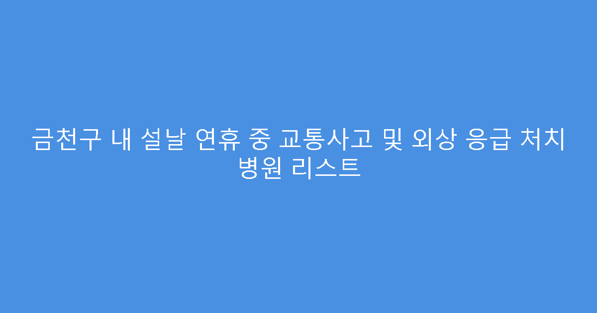 금천구 내 설날 연휴 중 교통사고 및 외상 응급 처치 병원 리스트