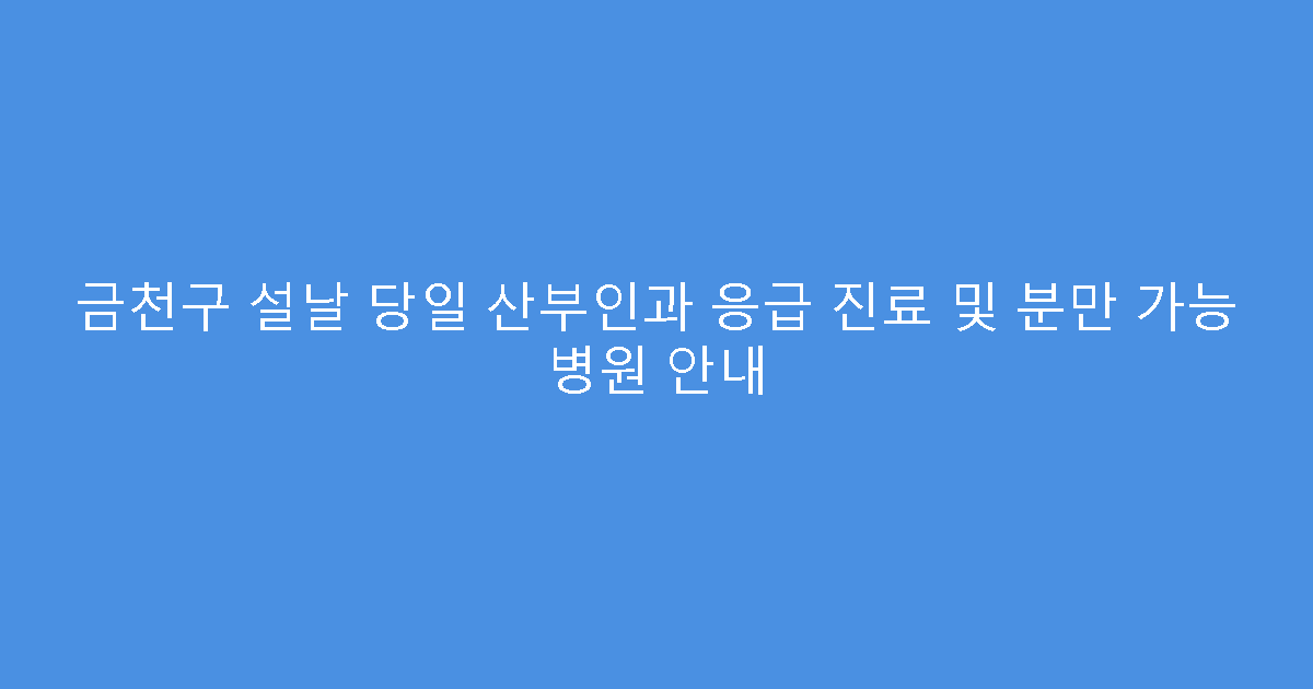 금천구 설날 당일 산부인과 응급 진료 및 분만 가능 병원 안내