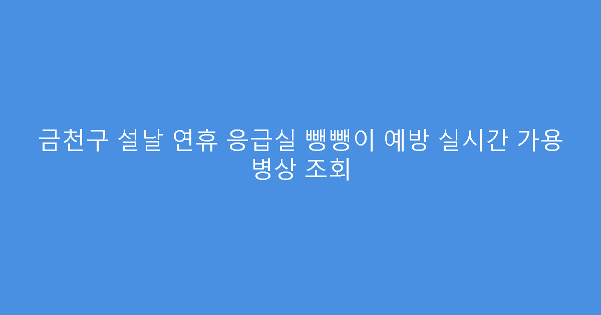 금천구 설날 연휴 응급실 뺑뺑이 예방 실시간 가용 병상 조회