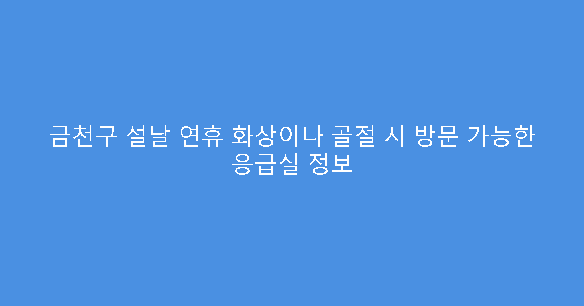 금천구 설날 연휴 화상이나 골절 시 방문 가능한 응급실 정보