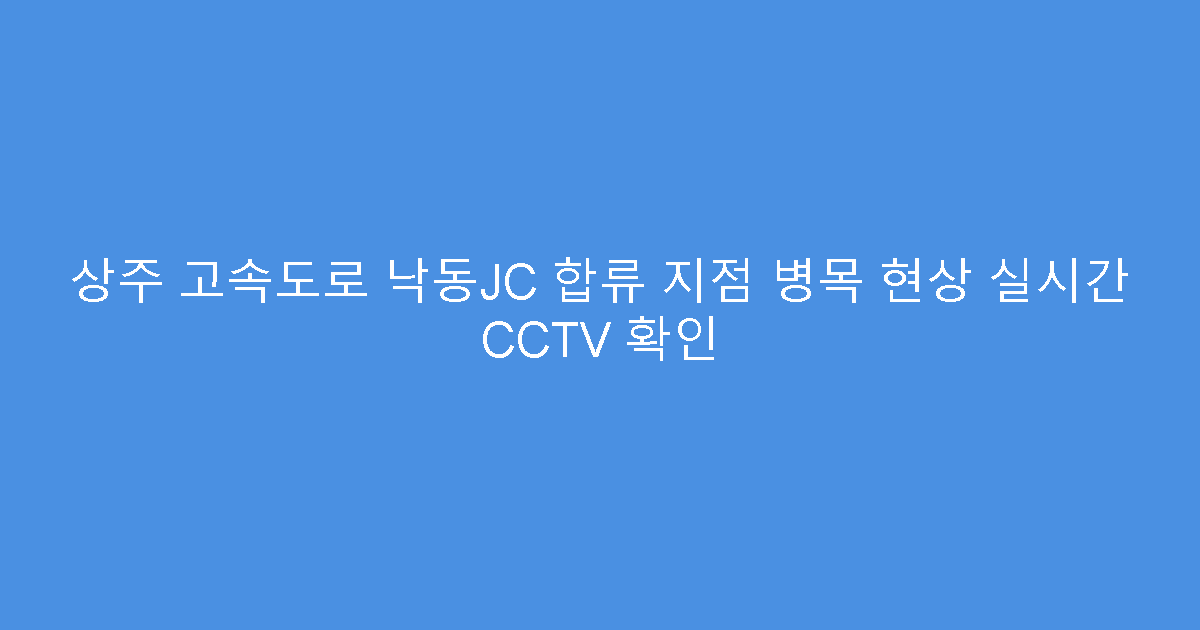 상주 고속도로 낙동JC 합류 지점 병목 현상 실시간 CCTV 확인