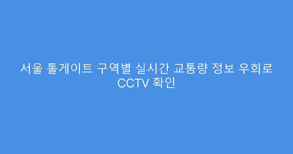 서울 톨게이트 구역별 실시간 교통량 정보 우회로 CCTV 확인