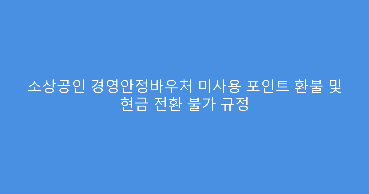소상공인 경영안정바우처 미사용 포인트 환불 및 현금 전환 불가 규정