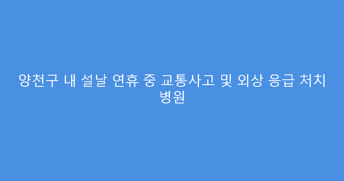 양천구 내 설날 연휴 중 교통사고 및 외상 응급 처치 병원